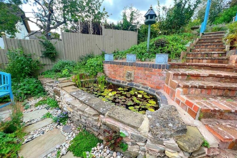 The garden.