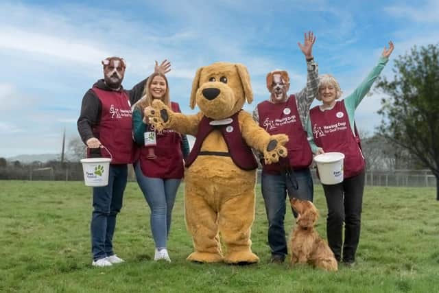 Assistance dog charity, Hearing Dogs for Deaf People is calling for volunteers to join a fundraising collection for its Paws Appeal. Photo supplied
