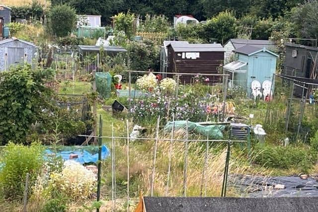 The winners of Warwick Town Council’s Annual Allotments Competition have been announced.