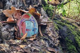 Over the festive break (Friday December 22 to Sunday January 7), families are being encouraged to visit Priory Park to seek-out the 12 elf doors that have ‘magically appeared’ across the site. Photo by Friends of Priory Park