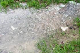 Sewage and toilet paper is strewn across green areas.