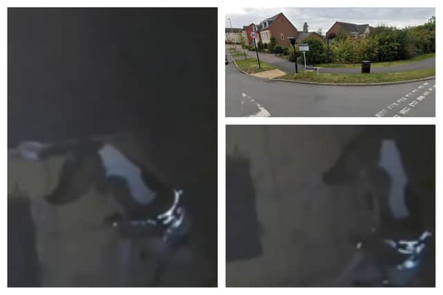 A family in Heathcote has been left devastated after their much-loved pet cat was killed by a dog off the lead. Photos show the dog on the Ring doorbell footage and a Google Streetview of the entrance to Vickers Way in Heathcote.