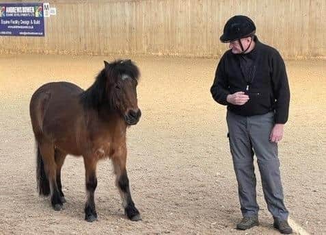 Ewan Davies during the equine therapy