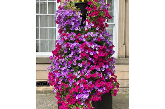 The community in Warwick is being called on to help the town win some new planters. Photo supplied by Warwick Town Council