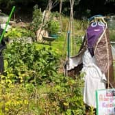 Scarecrows once again took over Odibourne Allotments for the open day last weekend. Photo by Kenilworth Allotment Tenant’s Association