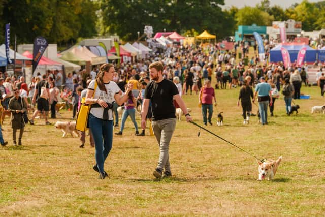 Dogfest will be taking place at Ragley Hall next month. Photo by Mark Mackenzie/Dogfest