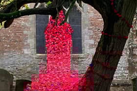The poppies at Leamington Hastings.