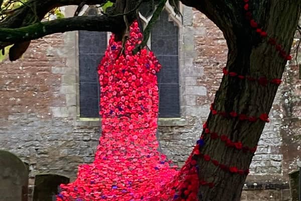 The poppies at Leamington Hastings.