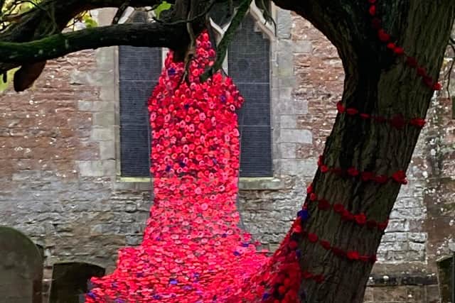 The poppies at Leamington Hastings.
