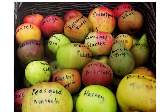 Hill Close Gardens in Warwick will be hosting its annual Apple Day this weekend. Photo supplied