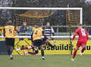 Ted Cann saved a first-half penalty to help Leamington beat Darlington.