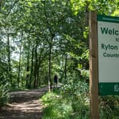 Wildlife habitats at Ryton Pools Country Park will soon be improved thanks to £30,000 of funding awarded to Warwickshire Wildlife Trust’s Dunsmore Living Landscape Partnership. Photo by Warwickshire County Council