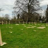 Some of the damaged trees on the Campion Hills in Leamington.