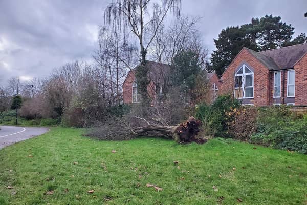 A large tree was blown down at the Emscote Road entrance of St Nicholas Park in Warwick during the storm.