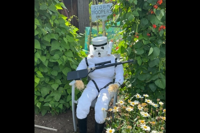 One of the many creative scarecrows at the allotments. Photo supplied Kenilworth Allotment Tenant’s Association