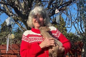 Carole Webb, the founder of FARS with one of the lambs at the farm animal sanctuary.