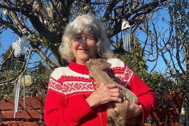 Carole Webb, the founder of FARS with one of the lambs at the farm animal sanctuary.