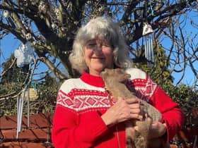 Carole Webb, the founder of FARS with one of the lambs at the farm animal sanctuary.