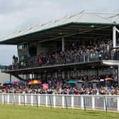 Magistrato made all the running to land the £10,000 Fisher German Novices' Handicap Chase at Warwick.