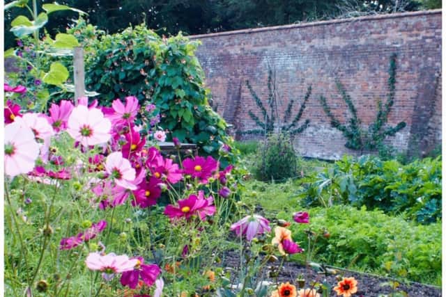 A historic garden in Warwick is inviting budding artists to join its creative event later this month. Photo by Guy's Cliffe Walled Garden