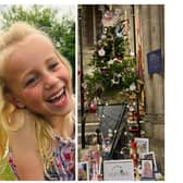 Left: Neive Warwick. Right: The Neive's Arc tree at The Leamington Christmas Tree Festival. Pictures supplied.
