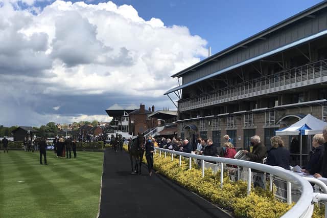 Warwick races