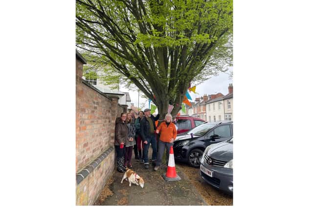 Residents protest at the hornbeam tree in Farley Street, Leamington. Picture supplied.