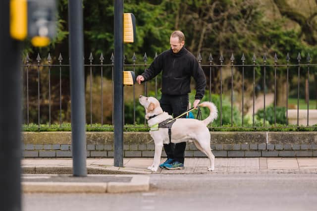 A guide dog trainer and guide dog in Leamington. Photo by Eleanor Stephens.