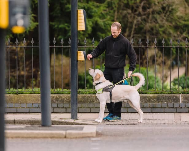 A guide dog trainer and guide dog in Leamington. Photo by Eleanor Stephens.