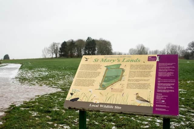 St Mary's Lands in Warwick. Photo by Mike Baker