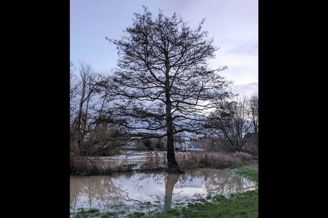 Jephson Gardens, view of flooded river Leam towards Mill Bridge.