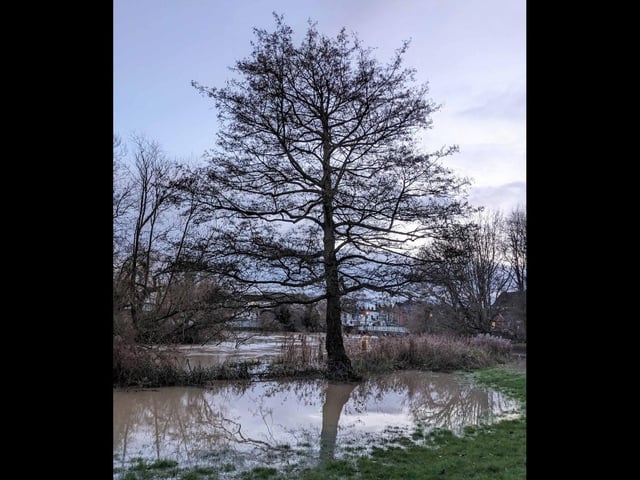 Jephson Gardens, view of flooded river Leam towards Mill Bridge.