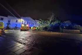The fallen tree at the corner of Grove Street and Portland Place West in Leamington. Credit: Harry Brown.