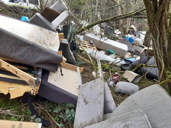 Some of rubbish dumped near the old Lias line