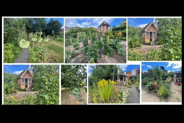Category 10: Public Access Gardens Winner: Hill Close Gardens, Gold. Photo supplied