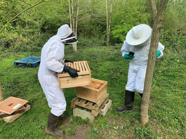 At Warwickshire County Council’s Ryton Pools Country Park, a long-term focus on supporting bee populations has led to the site becoming a hive of activity. Photo supplied by Warwickshire County Council