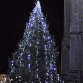 The tree outside St Andrew's Church.