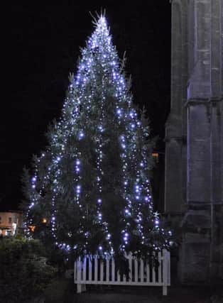 The tree outside St Andrew's Church.