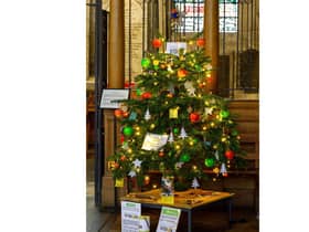 Winning tree photo by George Gulliver