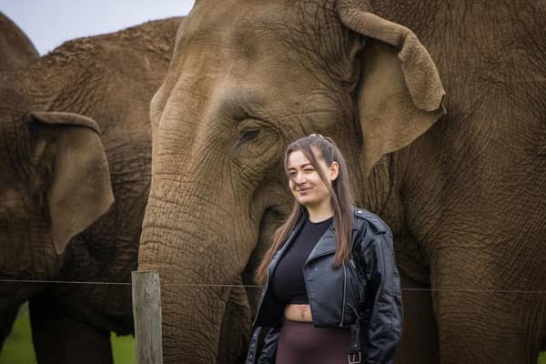 Elephant Encounter at Woburn Safari Park. Photo: WSP