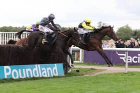 Get Up Mush (inside) jumps the last fence in the feature race (Photo by David Pratt)