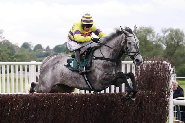 Sail Away clears the last fence in the Rosconn Group Novices' Limited Handicap Chase at Warwick on Wednesday Picture by David Pratt