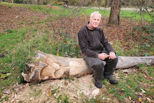 Woodcarver Graham Jones returned to Priory Park to make another sculpture out of deadwood. Photo by Geoff Ousbey