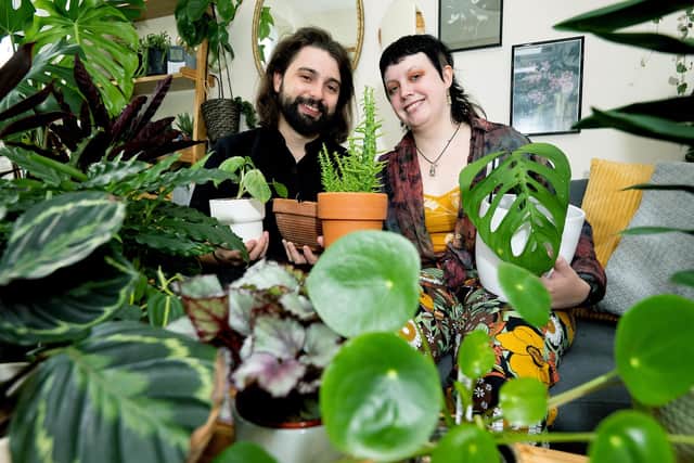 UNP Dobbies 44021
Dobbies: Not Your Average Garden Awards
Jack Joyce was the winner of Best Houseplant Parent
(Jack Joyce and partner Sofia are pictured).
© Mark Radford / UNP