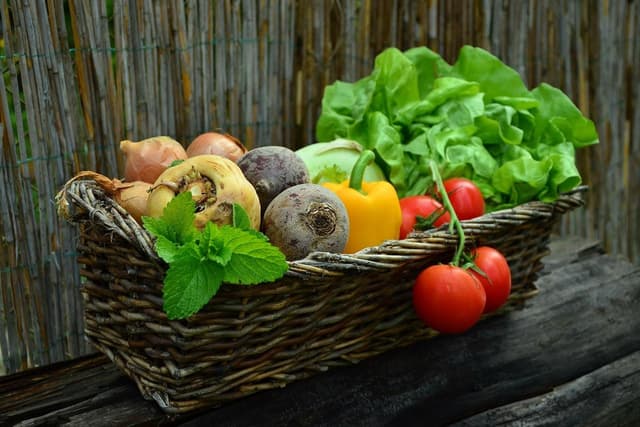 Rugby man's new venture aims to revolutionise how small food businesses connect with customers