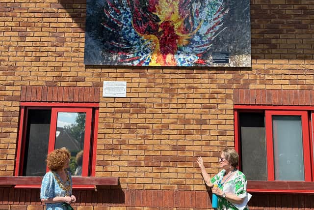 The phoenix has been placed on the front of the hospital and was recently unveiled by the Mayor of Warwick, Cllr Jackie D’Arcy (left). Photo supplied