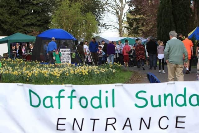 Daffodil Sunday picture courtesy of the organisers.