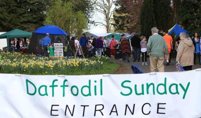 Daffodil Sunday picture courtesy of the organisers.