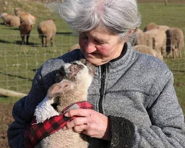 Carole continues to fight for the best life possible for her rescue family. Photo: FARS
