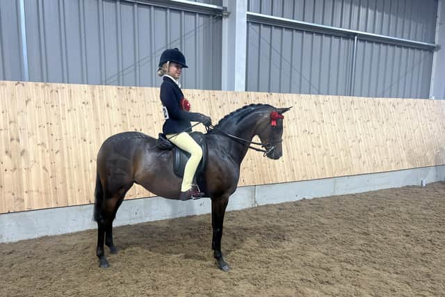Lilly Richardson is pictured on one of the show ponies she will be competing on at HOYS next week